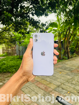 Apple 11
